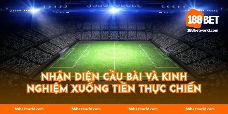 Nhận diện cầu bài và kinh nghiệm xuống tiền thực chiến